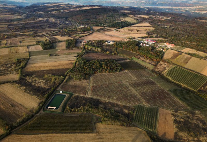 DJI_0466